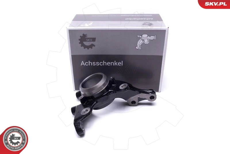 Steering Knuckle, wheel suspension